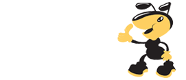 金蚂蚁搬家有限公司广州分公司