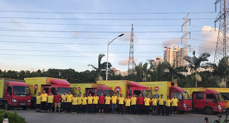 金蚂蚁搬家有限公司广州分公司